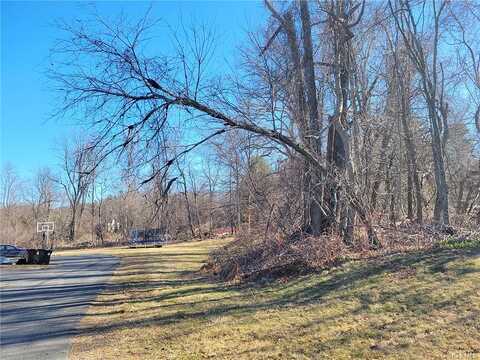 Willow Tree, SPRING VALLEY, NY 10977