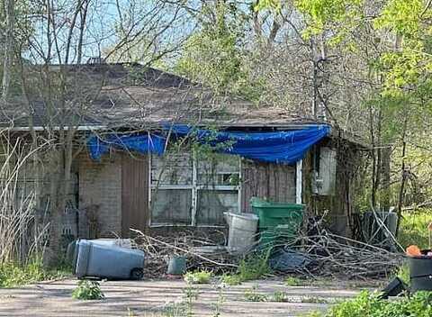 Ash, SANTA FE, TX 77517