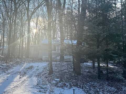 Walnut, BUSHKILL, PA 18324