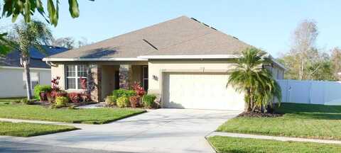 Sparkling, WESLEY CHAPEL, FL 33545