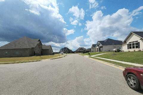 Brier Valley, MERIDIANVILLE, AL 35759