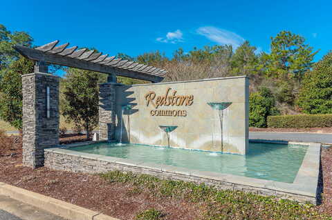 Limpkin, CRESTVIEW, FL 32539