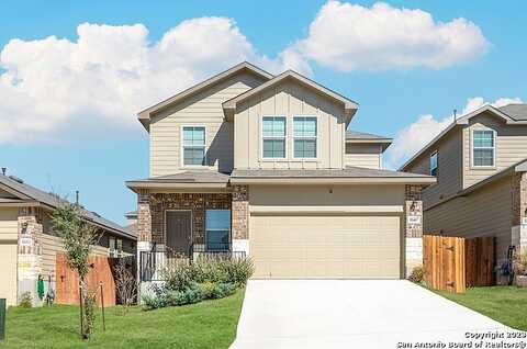 Idared, SAN ANTONIO, TX 78252