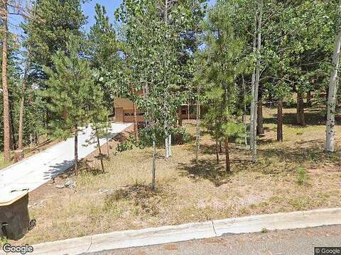 Pine Ridge, WOODLAND PARK, CO 80863