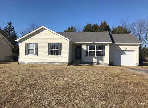 Daytona, SHELBYVILLE, TN 37160