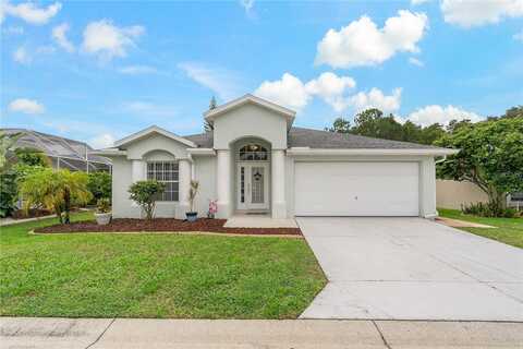 Leda, NEW PORT RICHEY, FL 34654
