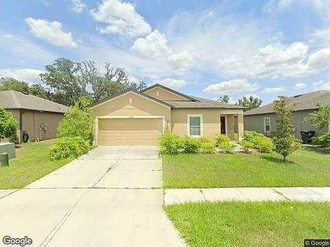 Chaya, SPRING HILL, FL 34610