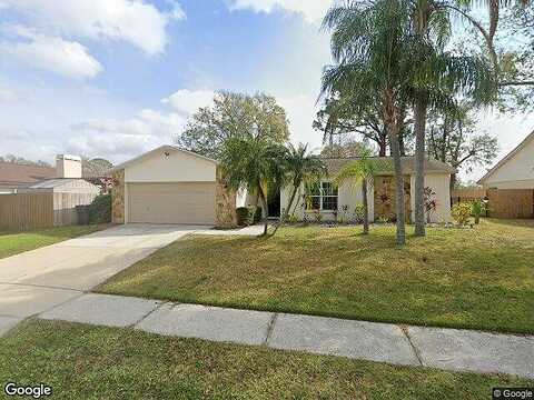 Tallowood, RIVERVIEW, FL 33579