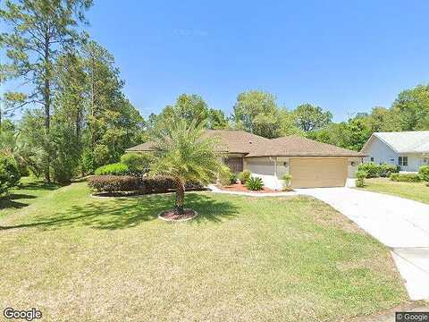 Blue Beech, HOMOSASSA, FL 34446