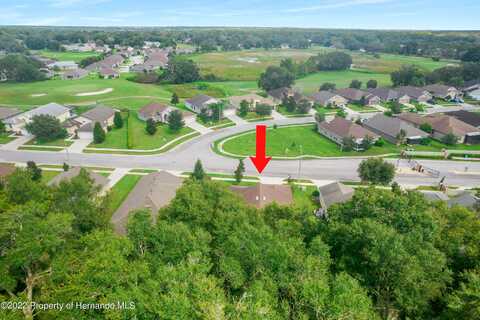 Meadow Golf, HUDSON, FL 34669