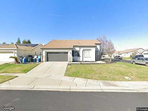 Amaranth, PLUMAS LAKE, CA 95961
