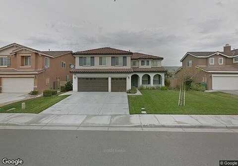 English Setter, EASTVALE, CA 92880