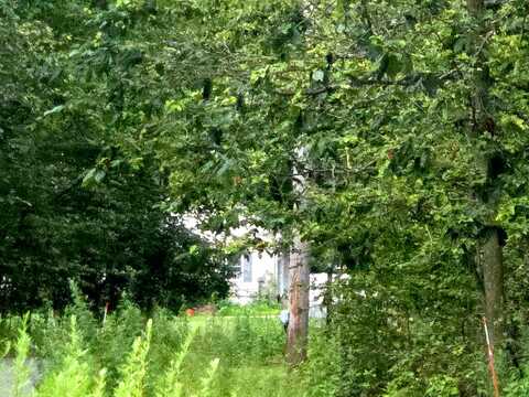 Mine, MONROE, NY 10950