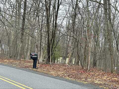 Hawk, SAYLORSBURG, PA 18353