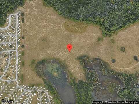 Saw Palmetto, CLERMONT, FL 34714