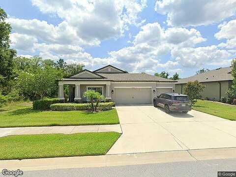Malinche, SPRING HILL, FL 34610