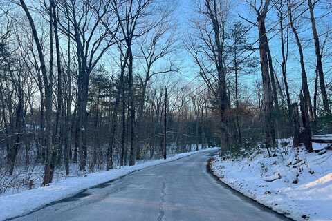 Maple, DOUGLAS, MA 01516