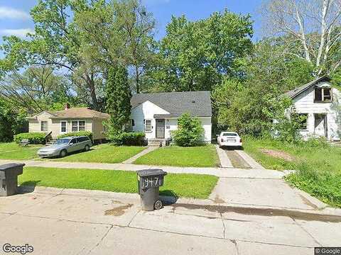 Ferguson, DETROIT, MI 48235