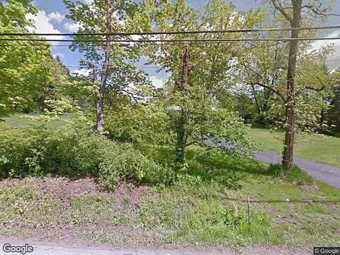 Shadblow, CLINTON CORNERS, NY 12514