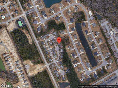 Fox Squirrel, MYRTLE BEACH, SC 29588