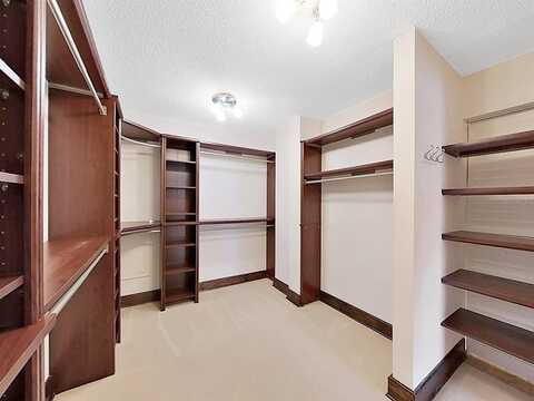 Dolphin, CLEARWATER BEACH, FL 33767