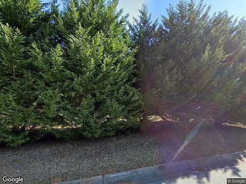 Mistletoe, SNELLVILLE, GA 30039