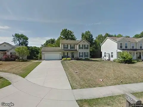 Hazelnut, RAVENNA, OH 44266