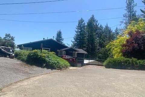 Hawk, WILLITS, CA 95490