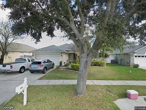Buckhorn Preserve, VALRICO, FL 33596