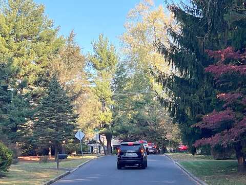 Lundy, HUNTINGDON VALLEY, PA 19006