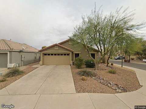Blackfoot Daisy, SAN TAN VALLEY, AZ 85143