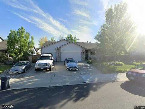 Ivy, LOVELAND, CO 80537
