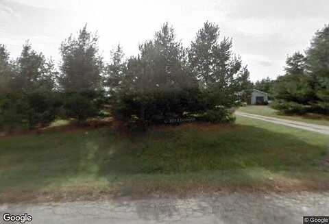 Swan, DANSVILLE, MI 48819
