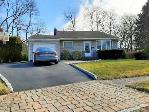 Lion, NORTH BABYLON, NY 11703