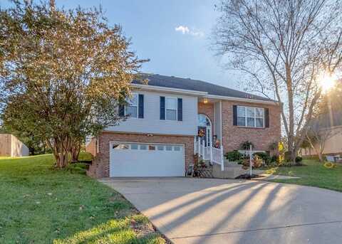 Poplar, CLARKSVILLE, TN 37043