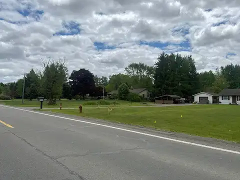 Willow, NEW BOSTON, MI 48164