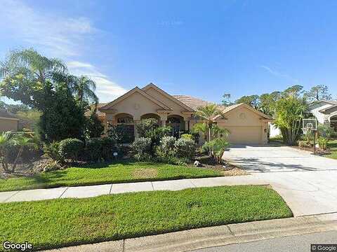 Justin, PALM HARBOR, FL 34685