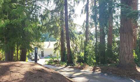 Deer Island, LAKE TAPPS, WA 98391