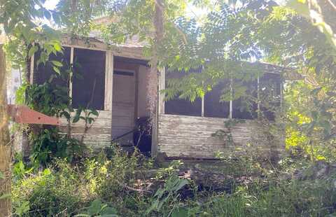 Rose, DADE CITY, FL 33523