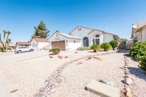 Potter, KINGMAN, AZ 86409