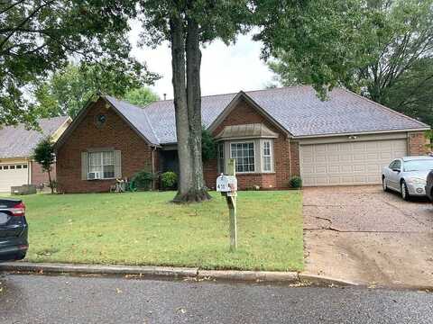 Barnstable, Memphis, TN 38125