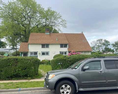 Squirrel, LEVITTOWN, NY 11756