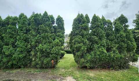Ralph, CENTRAL ISLIP, NY 11722