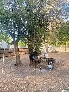 Elley, SEGUIN, TX 78155