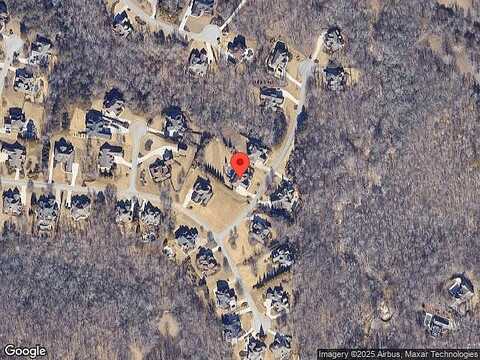 Pointer, FLOWERY BRANCH, GA 30542