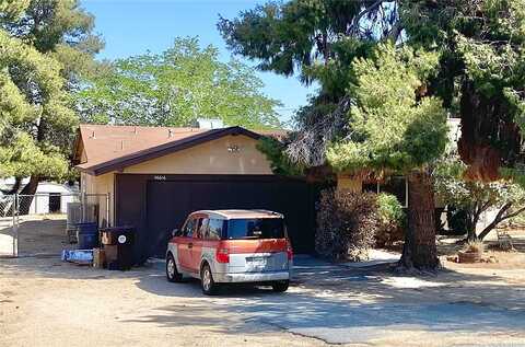 Joshua, YUCCA VALLEY, CA 92284