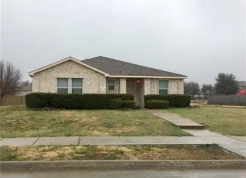 Snowy Orchid, DESOTO, TX 75115