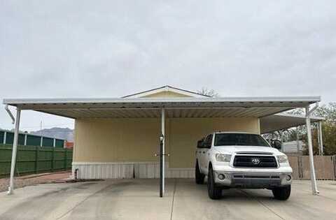 Mango, TUCSON, AZ 85741