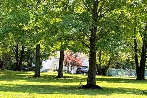 Russell Mill, SWEDESBORO, NJ 08085