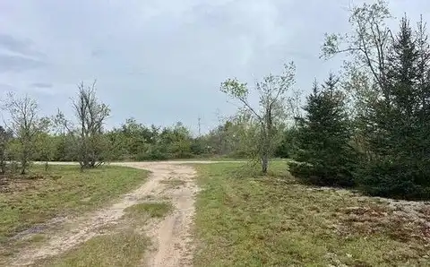 Little Stump, GAYLORD, MI 49735